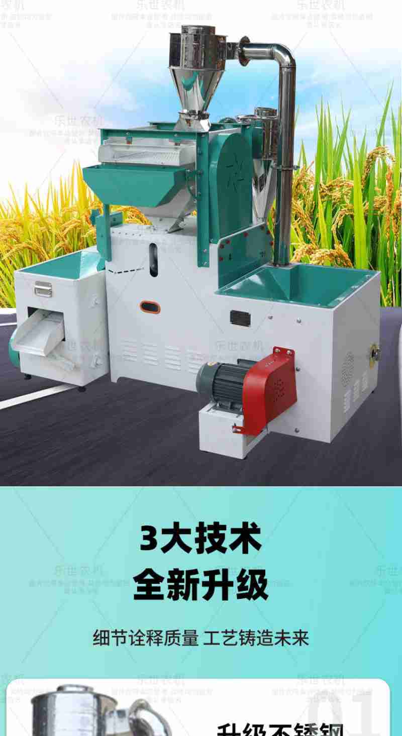 姚黄村村民种植的番茄(央广网记者 魏晋雪 摄)