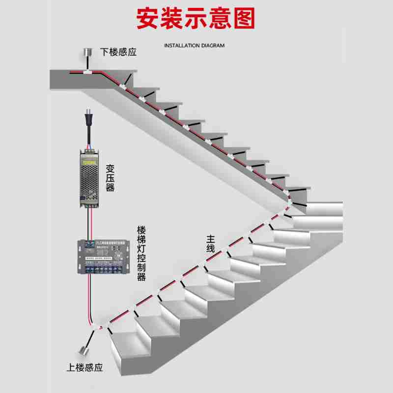 姚黄村村民种植的草莓(央广网见习记者 寇刚 摄)